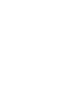 六本木の鮨「鮨きのした」